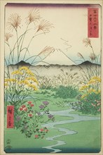 Otsuki Plain in Kai Province (Kai Otsuki no hara), from the series "Thirty-six Views of..., 1858. Creator: Ando Hiroshige.