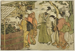 Display of Chrysanthemums, from the illustrated book "Picture Book: Flowers of..., New Year, 1801. Creator: Kitagawa Utamaro.