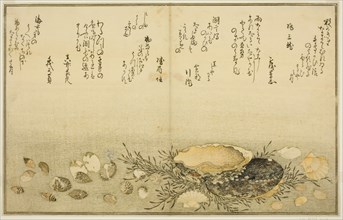 Chidori-gai, itaya-gai, awabi, utsuse-gai, asari-gai, and monoara-gai, from the illustrated...,1789. Creator: Kitagawa Utamaro.