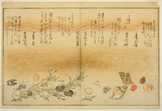 Beni-gai, hora-gai, urauzu-gai, wasure-gai, chiyonohana-gai, and masuho-gai, from..., Japan, 1789. Creator: Kitagawa Utamaro.
