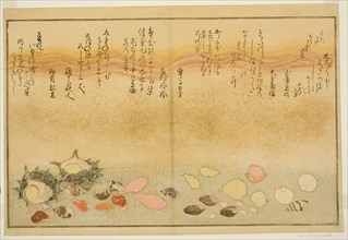 Shiro-gai, namima-gashiwa, makura-gai, iro-gai, aza-gai, sadae-gai, from the illustrated b..., 1789. Creator: Kitagawa Utamaro.