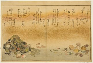 Ashi-gai, hamaguri, ko-gai, suzume-gai, akoya-gai, and katashi-gai, from the illustrated..., 1789. Creator: Kitagawa Utamaro.
