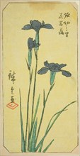 Iris at Horikiri Village (Horikiri no sato hanashobu), section of a sheet from the series ..., 1857. Creator: Ando Hiroshige.