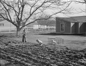 El Monte federal subsistence homesteads, California, 1936. Creator: Dorothea Lange.