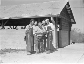 Self-help cooperative dairy, near Santa Ana, California, 1936. Creator: Dorothea Lange.
