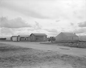 Little Oklahoma, the community that grew out of the need for help in the potato..., CA, 1936. Creator: Dorothea Lange.