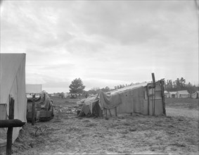 Camps of migrant pea workers, California, 1936. Creator: Dorothea Lange.