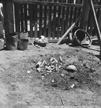 No garbage disposal, Brawley, Imperial Valley, California, 1935. Creator: Dorothea Lange.