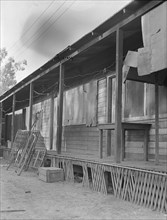 Housing, Brawley, Imperial Valley, California, 1935. Creator: Dorothea Lange.
