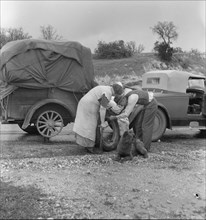 Migrant pea pickers on the road, California, 1936. Creator: Dorothea Lange.