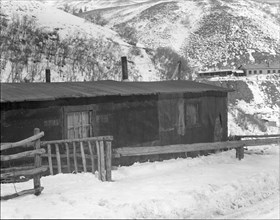 Company housing, Utah coal town, Consumers, near Price, Utah, 1936. Creator: Dorothea Lange.