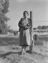 Pregnant migrant woman living in California squatter camp, Kern County, 1936. Creator: Dorothea Lange.