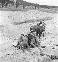 Widtsoe land use adjustment project, Garfield County, Utah, 1936. Creator: Dorothea Lange.