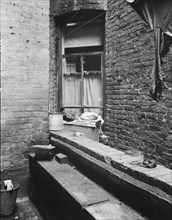 Tenement dwelling of Mr. and Mrs. Jacob Solomon, 133 Aveue D, New York City, 1936. Creator: Dorothea Lange.