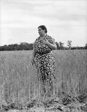 Jewish-American farm mother, Mrs. Cohen, wife of the farm manager, Hightstown, New Jersey, 1936. Creator: Dorothea Lange.