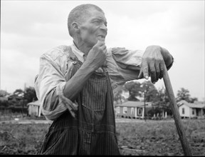 Hoe culture in the South, Negro farmhand, Near Birmingham, Alabama, 1936. Creator: Dorothea Lange.