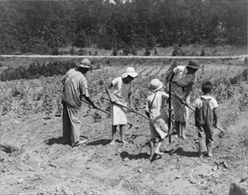 Alabama tenant farmer and children, Near Anniston, Alabama, 1936. Creator: Dorothea Lange.