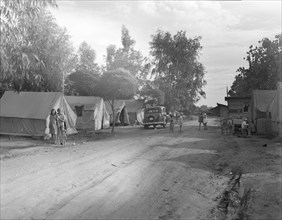 Camp of migratory fruit pickers, Farmington, California, 1936. Creator: Dorothea Lange.