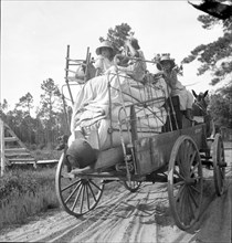 Moving day in the turpentine pine forest country, North Florida, 1936. Creator: Dorothea Lange.