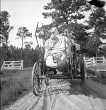 Moving day in the turpentine pine forest country, Northern Florida, 1936. Creator: Dorothea Lange.