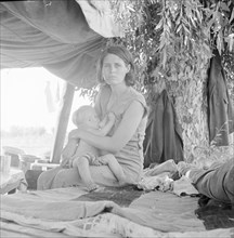 Drought refugees from Oklahoma camping by the roadside, Blythe, California, 1936. Creator: Dorothea Lange.