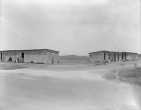 Cotton pickers camp near Robstown, Texas, 1936. Creator: Dorothea Lange.