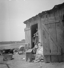Housing for cotton pickers, South Texas, 1936. Creator: Dorothea Lange.
