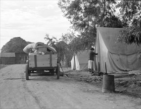 Cotton camp near Exeter, California, 1936. Creator: Dorothea Lange.