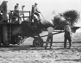 Bean thresher, mechanized agriculture between Turlock and Merced, California, 1936. Creator: Dorothea Lange.