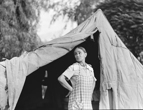 Migratory woman, Greek, living in a cotton camp near Exeter, California, 1936. Creator: Dorothea Lange.