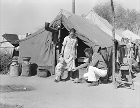 Tom Collins, manager of Kern migrant camp, with drought refugee family, California, 1936. Creator: Dorothea Lange.