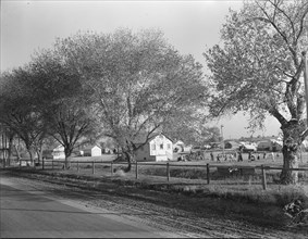 View of Kern migrant camp, California, 1936. Creator: Dorothea Lange.