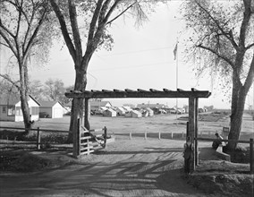 Entrance and view of Kern migrant camp, California, 1936. Creator: Dorothea Lange.