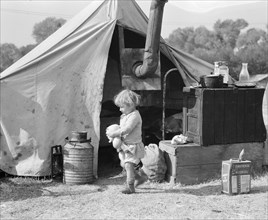 Child of migratory worker, American River camp near Sacramento, California, 1936. Creator: Dorothea Lange.