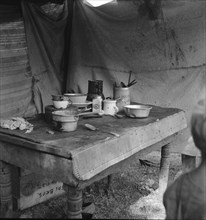 Food supply of migrant family, American River camp near Sacramento, California, 1936. Creator: Dorothea Lange.