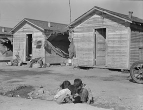 Company housing for cotton workers near Corcoran, California, 1936. Creator: Dorothea Lange.