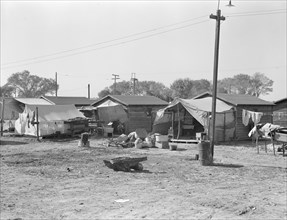 Housing for migratory cotton workers five miles north of Corcoran, California, 1936. Creator: Dorothea Lange.