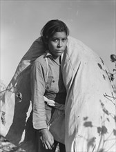 Mexican cotton picker, Southern San Joaquin Valley, California, 1936. Creator: Dorothea Lange.