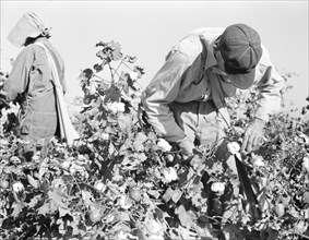 Cotton pickers, Southern San Joaquin Valley, California, 1936. Creator: Dorothea Lange.