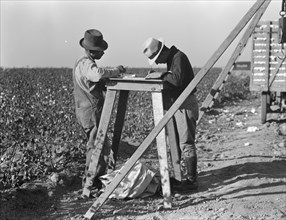Cotton checkers, San Joaquin Valley, California, 1936. Creator: Dorothea Lange.