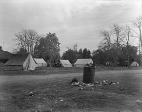 Squatters' camp near Farmersville, Tulare County, California, 1936. Creator: Dorothea Lange.