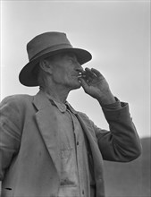 This man is a labor contractor in the pea fields of California, 1936 Creator: Dorothea Lange.