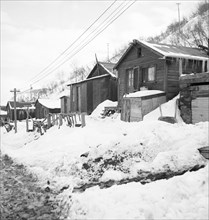 Company housing, Consumers, near Price, Utah, 1936. Creator: Dorothea Lange.