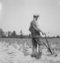 White tenant farmer works on shares. North Carolina, 1936. Creator: Dorothea Lange.