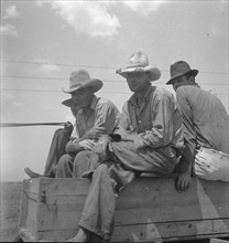 Arkansas sharecroppers going home, near Blytheville..., 1936. Creator: Dorothea Lange.