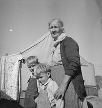 Grandmother of twenty-two children living in Kern County migrant camp, California, 1936. Creator: Dorothea Lange.