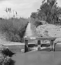 Irrigation ditch along the road, Imperial Valley, California, 1937. Creator: Dorothea Lange.