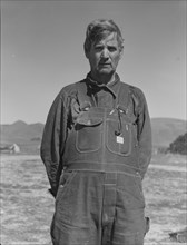 Former tenant farmer from Texas now working in California as a pea picker, Nipomo, California, 1937. Creator: Dorothea Lange.