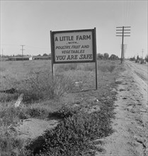 Real estate sign along the highway, Riverside County, California, 1937. Creator: Dorothea Lange.