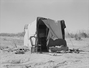 Drought refugees, camp along the roadside, Imperial County, California, 1937. Creator: Dorothea Lange.